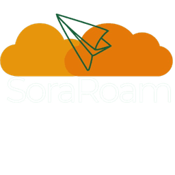 SoraGo eSIM - Global Travel Connectivity