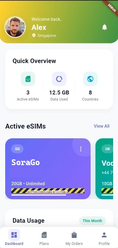 Launch the application and start using it